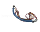 20138 Gaylord Uv Module/Ballast Wiring Harn