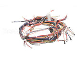 20161501 Amana Menumaster Harness-Oven