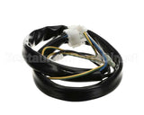 2019691 Giorik Harness, Ignition, Module, Gas, Evo, Sb