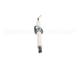 2020498N Giorik Ignitor, Probe, 061, 101, 201, Gas, Evo,