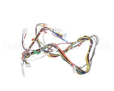 20292101 Amana Menumaster Harness-Lv