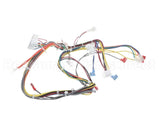 20292101 Amana Menumaster Harness-Lv