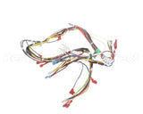 20292101 Amana Menumaster Harness-Lv