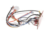 2032283 Manitowoc Ice Wiring Harness, 115V 60Hz