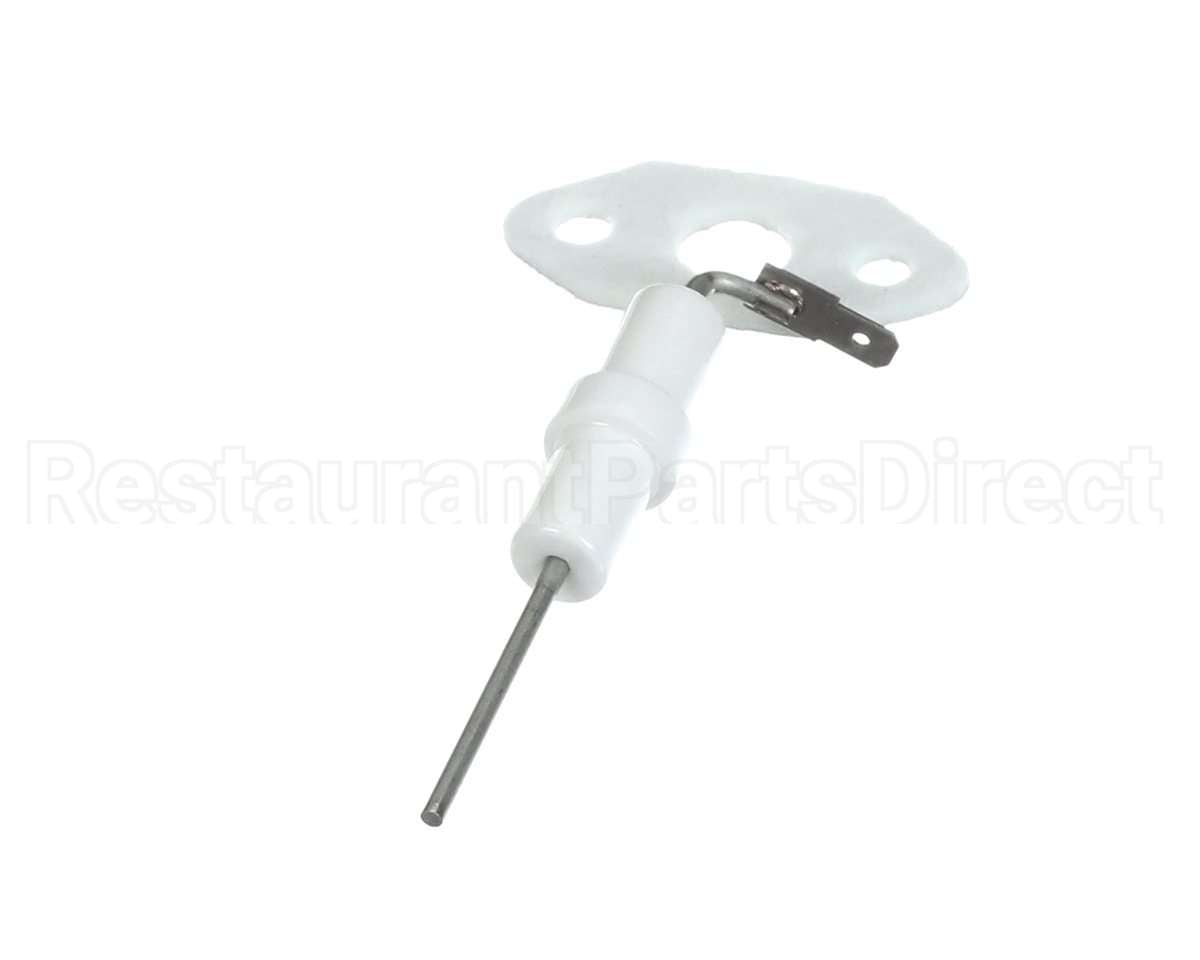 204000010 Rinnai Kit, Flame Rod & Gasket