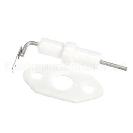 204000012 Compatible Rinnai Kit, Flame Rod & Gasket