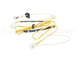 204000032 Rinnai Thermistor Kit