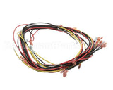 20444 Blodgett Harness, Wiring W/Cook