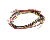 20444 Blodgett Harness, Wiring W/Cook