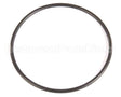 20459 Blakeslee O Ring Belt