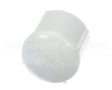205-193D Beverage Air Cap-3/4 Fpt Pvc
