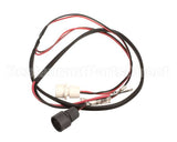 2073986 Beverage Air Wiring Harness