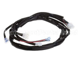 21-02608 Structural Concepts Harness 12 Cp F-Tyco C-14Gas Hg-3P L-48