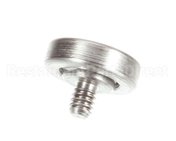 2100195 Antunes Bearing, Roller S/S