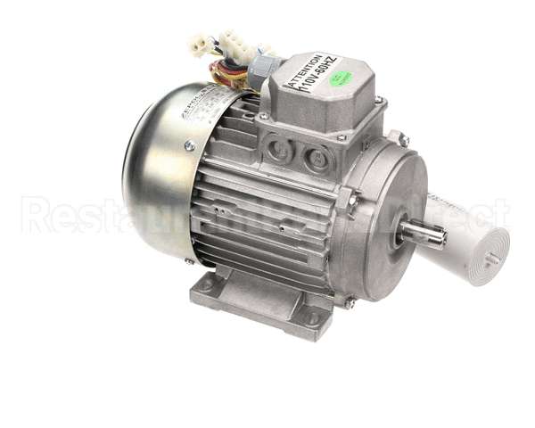 210441C Zummo Motor (110V-60Hz)