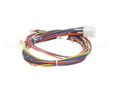 21058 Blodgett Harness, Wiring Control Comp