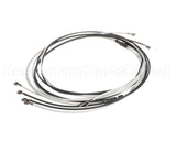 212616 Duke Harness, Wire 4 Sec 120V 1-#21