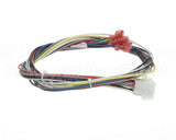 21591 Blodgett Harness,Conduit 2Sp