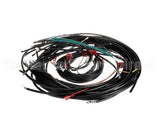21641 Henny Penny Harness-208V Ofe/Oea341 Wire