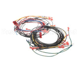 21646 Henny Penny Harn-120V Ofg/Oga34X Wire