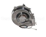21799 Giles Blower, 208-240V, Rt-5