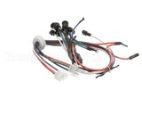 2183310 Delfield Harness,Wiring,Male,