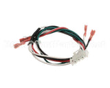 2184317 Delfield Harness,Coil,Mk7,Energy Coil