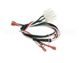 2184317 Delfield Harness,Coil,Mk7,Energy Coil