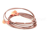 2186911 Delfield Harness Ice Level Control