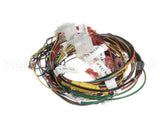 2187102 Multiplex Harness Dc Modular