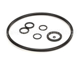 2187979 Stoelting Oring Kit; Su412