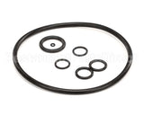 2187979 Stoelting Oring Kit; Su412