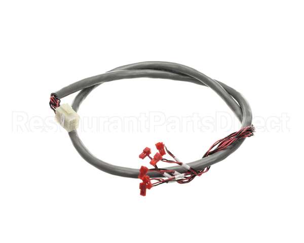 218809 Duke Harness, Wire Hdc Display/Rtd
