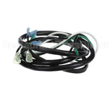 2195118 Delfield Harness,Main Comp