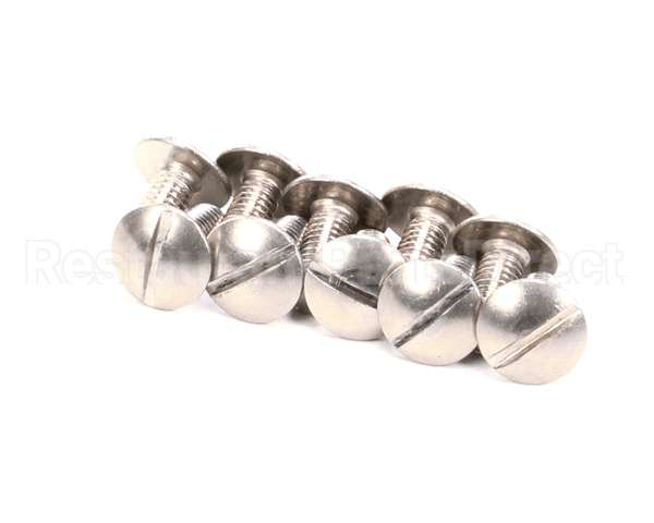 22-6024 Electrolux Professional Screw; 10 Pcs