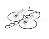 2202070 Stoelting Kit; Minor Tune Up (Cc 3 Brl)