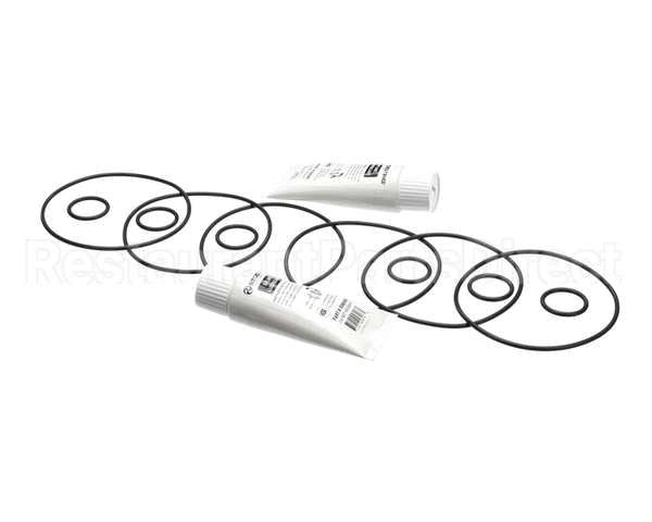 2202072 Stoelting Kit; Minor Tune Up (Os 3 Brl)