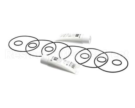 2202072 Stoelting Kit; Minor Tune Up (Os 3 Brl)