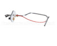 22024 Sunglo Electrode Pilot Assy
