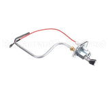 22024 Sunglo Electrode Pilot Assy