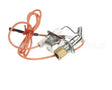 2206500 Garland Spark Ignition Pilot Nat