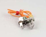 2206513 Garland Spark Ignition Pilot Nat 30In
