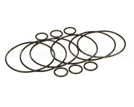 2208802 Stoelting Oem Os Quarterly Kit