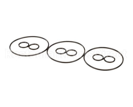 2208810 Stoelting Oem Cc303 Qrtly Kit