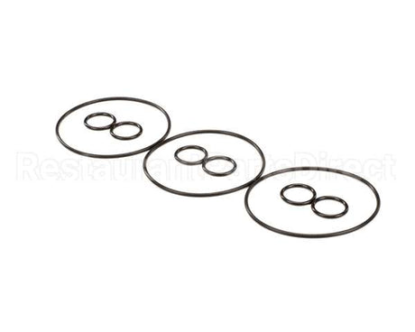 2208810 Stoelting Oem Cc303 Qrtly Kit