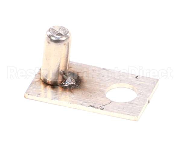 22333 Gaylord Rspc Electrode Weldment Assembly P