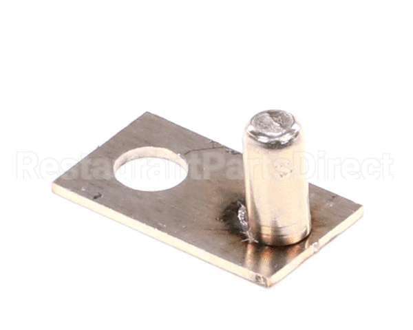 22333 Gaylord Rspc Electrode Weldment Assembly P
