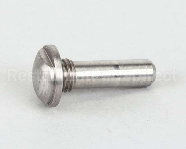 22415P Silver King Pin Hinge