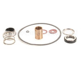 22462 Power Soak Systems Pump Seal Kit - Burks ( I )