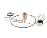 22462 Power Soak Systems Pump Seal Kit - Burks ( I )